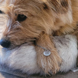 Seelenhund Erinnerungskette – Gravur & Geschenkbox
