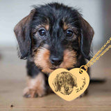 Seelenhund Herzkette – Gravur & Geschenkbox