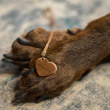 Seelenhund Herzkette – Gravur & Geschenkbox