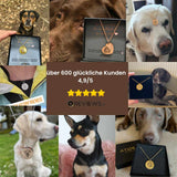 Seelenhund Erinnerungskette – Gravur & Geschenkbox